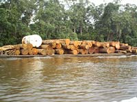 Radeau de grumes d'okoumé sur l'Ogooué, photo W. Nouhando, juin 2006